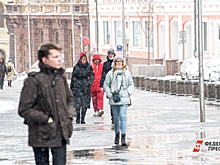 Синоптик Вильфанд раскрыл, ждать ли Москве снегопадов