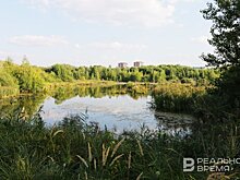 Парки Горького и Победы в Казани временно лишатся статуса охраняемых объектов