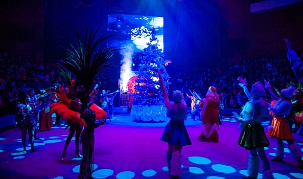 Волгоградский цирк возобновляет свою работу после реконструкции