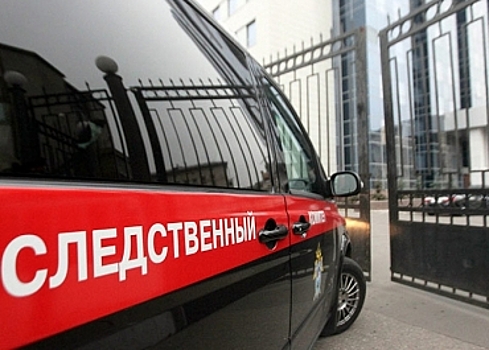 Следствие установило подозреваемого в избиении хоккейного арбитра в автобусе в аэропорту Шереметьево