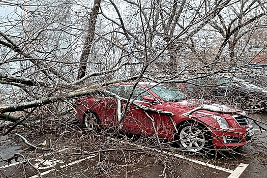 "Согласие": Ураганы стали второй по массовости причиной повреждения имущества