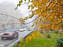 «Желтый» уровень опасности из-за гололедицы объявлен в Москве до четверга