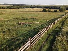 Ветераны-орденоносцы СВО могут получить земельный участок в Удмуртии