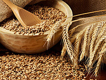 Россию в этом году ждет рекордный урожай зерна