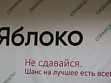 Члены «Яблока» подали в суд на свою партию из-за политических чисток