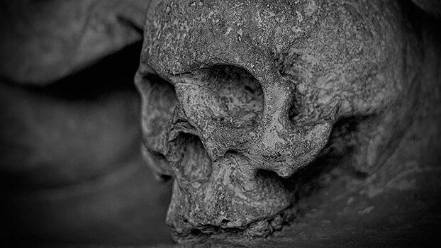 Найден древнейший в мире череп человека