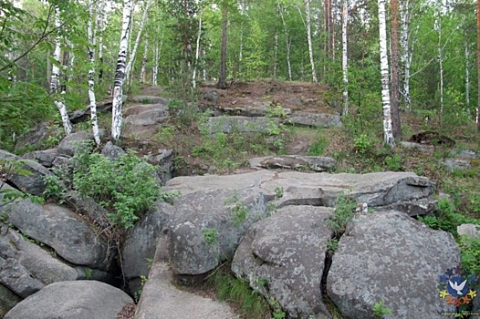 Человек-сова в поисках инвестора