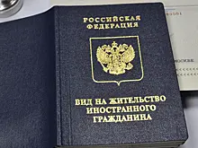 Посетивший Россию 36 раз немец получил разрешение на временное проживание