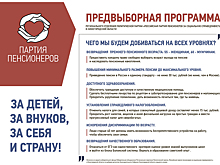 Предвыборная программа
