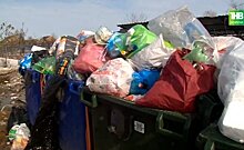 Жители Пестрецов жалуются на "мусорный коллапс" — видео