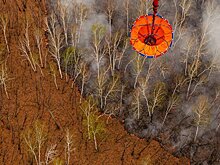 На Дальнем Востоке сгорело более 1,1 тысячи гектаров леса