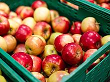 Названа неожиданная польза от яблок зимой