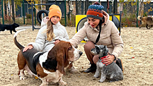 В Тарко-Сале открыли долгожданную площадку для выгула и дрессировки собак. ВИДЕО