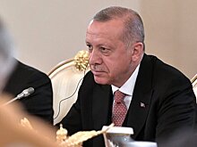 Эрдоган приказал организовать операцию в Ираке и Сирии после саммита G20