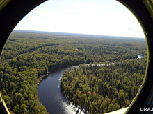 Пропавшая свердловская туристка две ночи провела в челябинских лесах