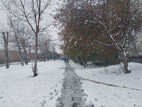 Снег в Новосибирске полностью растает и вернется теплая осень