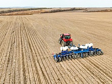 Объем зерна, отправленного по железной дороге из Новосибирской области, вырос в 1,8 раза