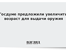 Госдуме предложили увеличить возраст для выдачи оружия