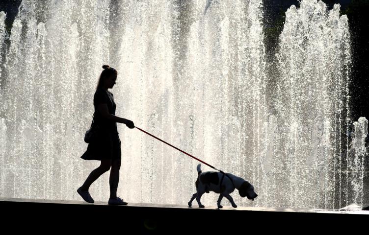 Пенсионерка чуть не утонула в Волге из-за разъяренного ризеншнауцера