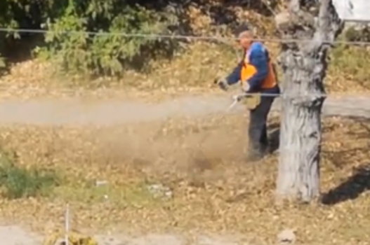 В Дзержинске сняли на видео дворника, косившего опавшую листву