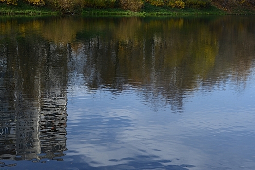 За лето в Рязанской области утонули восемь человек