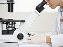 Созданы кристаллы, нарушающие законы физики