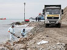 Ученые оценили восстановление экосистемы после ЧП с танкерами в Черном море