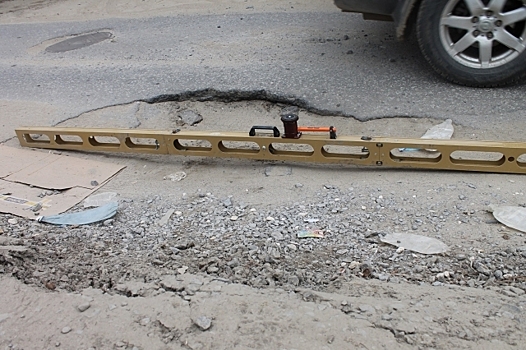 И смех, и грех: В Волгограде появился зебро-ворон