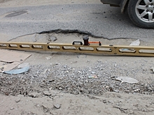 И смех, и грех: В Волгограде появился зебро-ворон