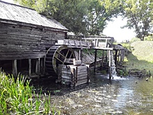 Жителей Курской области приглашают 9 сентября на День варенья