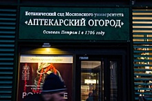 "Аптекарский огород" пригласил  москвичей на предновогодний концерт