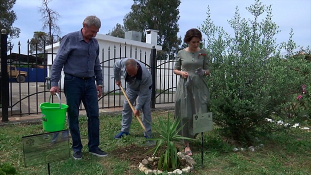 В Волгоградской области участники акции "Сад памяти" высадили более 600 тыс. деревьев