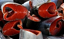 СМИ: цены на красную рыбу в России не падают, несмотря на рекордную добычу