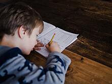 Как родителям бороться с нежеланием детей делать домашнее задание