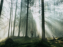 Перечислены лидеры российского проката за неделю