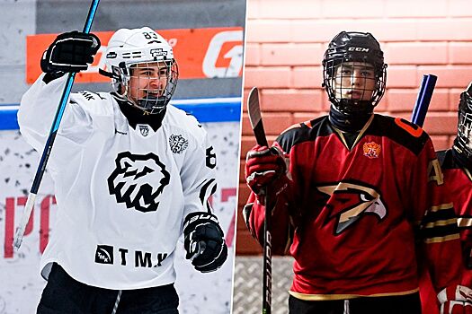Молодые российские хоккеисты, уехавшие в межсезонье-2022 в Америку, Гридин, Низамеев, Чалый