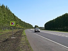 На федеральной автотрассе в Ростовской области машина сбила лося