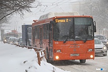 Компания, в которой спрятали от ареста нижегородские автобусы, находится под угрозой банкротства