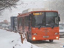 Компания, в которой спрятали от ареста нижегородские автобусы, находится под угрозой банкротства