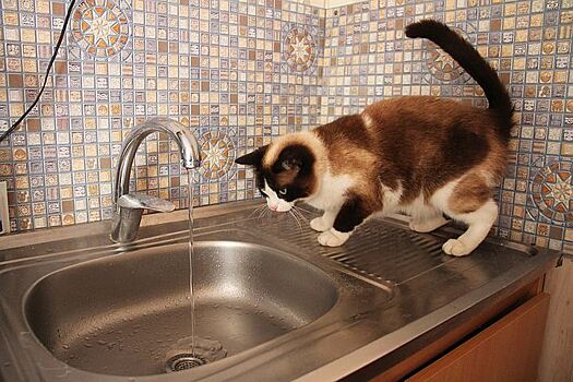 Новогодний облом: вода подорожала на 50%