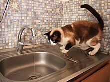 Новогодний облом: вода подорожала на 50%