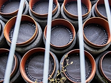 Названы потери ФРГ от остановки «Северного потока – 2»