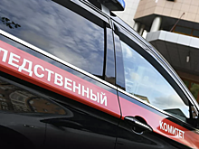 Задержаны подозреваемые в убийстве экс-мэра Киселёвска