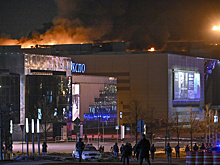 Эксперт рассказал о сложностях при опознании погибших в «Крокус Сити Холле»