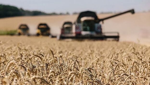 Зерновая сделка продлена, а проблемы с экспортом продовольствия и удобрений из РФ остаются