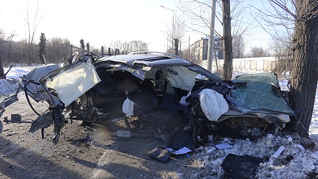 В Нижнем Тагиле водитель Mitsubishi врезался в дерево на большой скорости и погубил своего пассажира