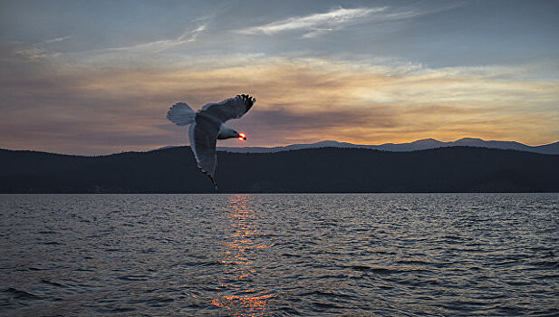 СК начал проверку аварийной посадки самолета на Байкале
