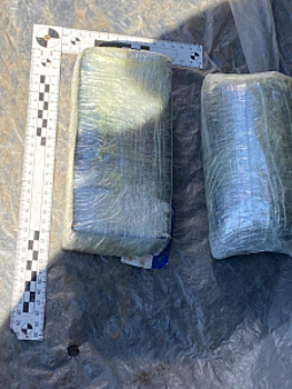 В Самарской области полицейские пресекли незаконный оборот наркотических средств