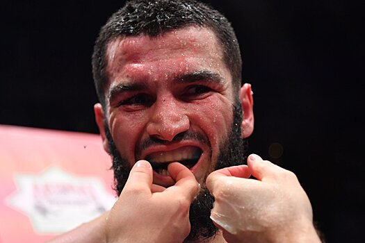 Появилось видео нокаута Бетербиева в бою с Брауном