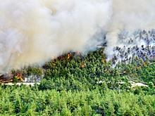 Масштабные пожары бушуют в странах Средиземноморья